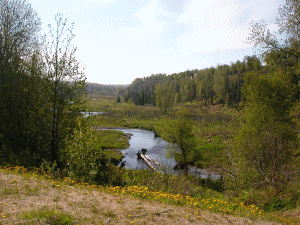 Ninilchik River Alaska