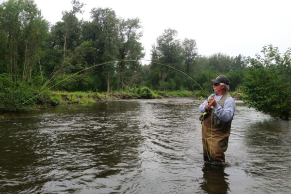 Homer Alaska Fishing Guide | Silverfin Guide Service
